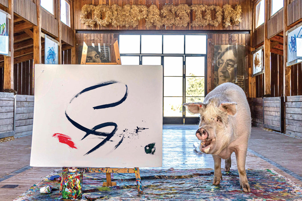 CALI (Pigcasso | Lefson )