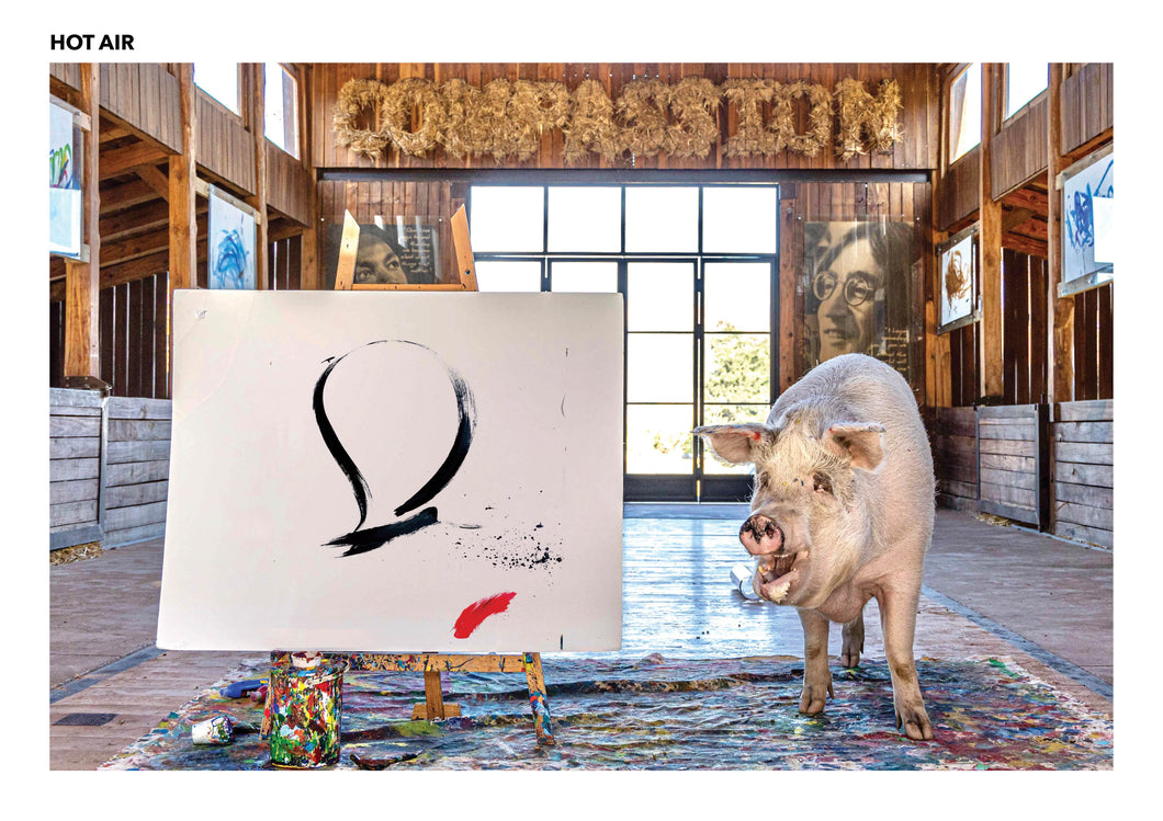 HOT AIR (Pigcasso | Lefson )